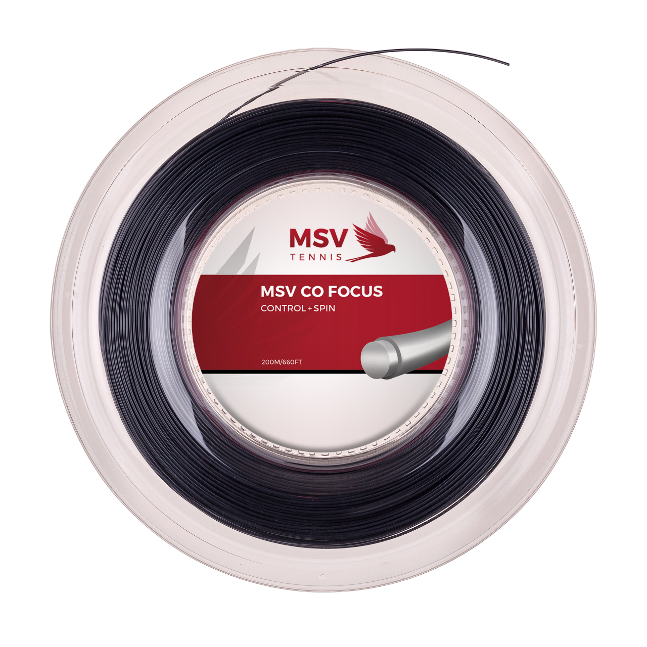 MSV Co Focus 200m 릴